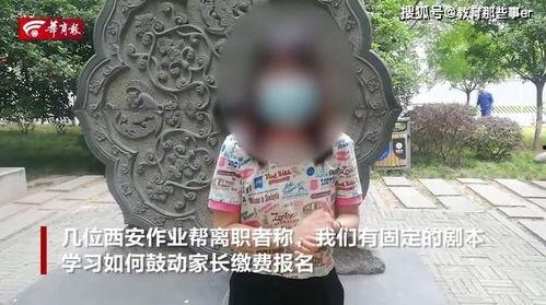 杀猪盘爆料完整视频,完整视频曝光诈骗手段  第2张