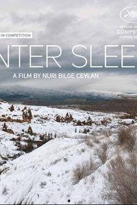 冬眠电影在线观看,在线观看，探索冰封世界的奇幻之旅  第3张