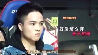 小龙被爆料视频播放,揭秘幕后真相与网络舆论影响  第3张