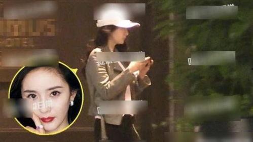 杨幂最新爆料动态,揭秘娱乐圈背后的惊人真相！  第3张